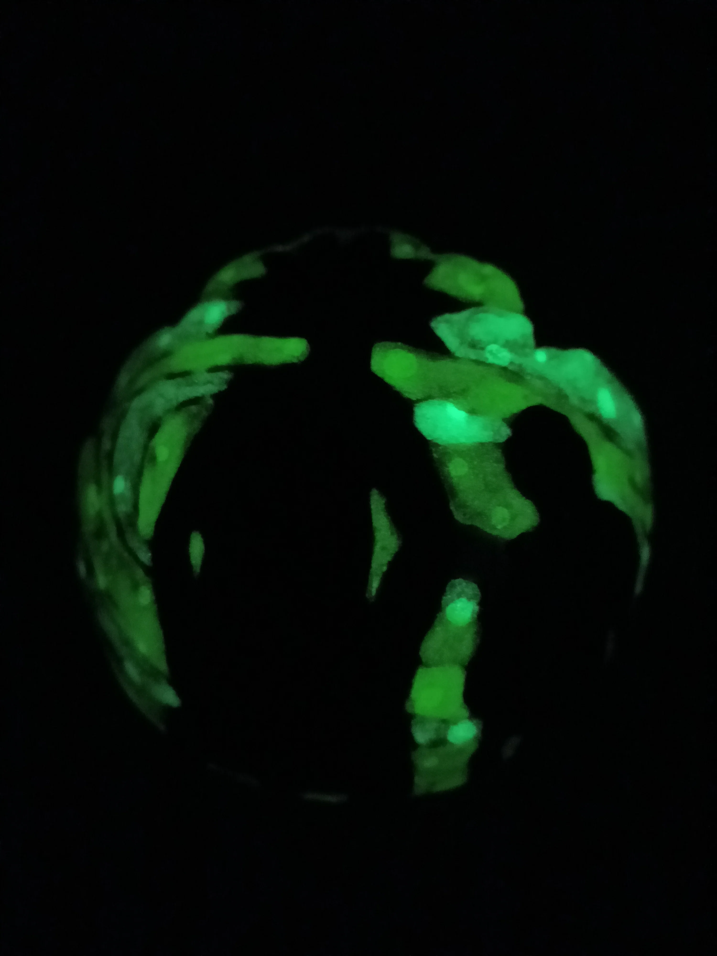 RICK AND MORTY SMOKING PARTNERS GLOW IN THE DARK MIXING BOWL - Image 4